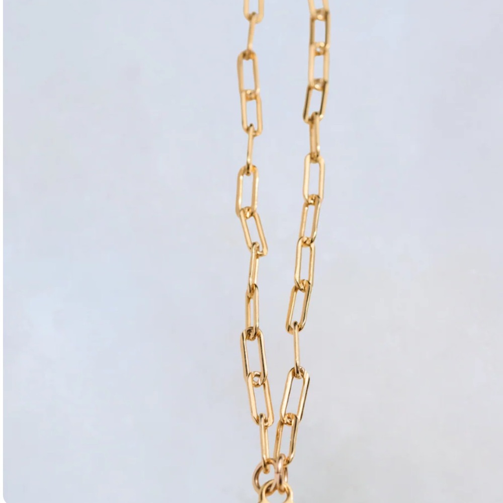 Gold Paperclip Chain with Sennod Vignette Holder - Picture 3 of 9